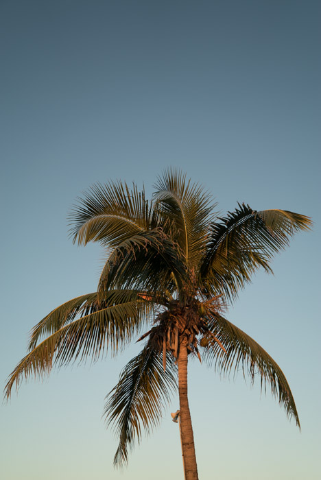 adam-jacono-turks-and-caicos-10