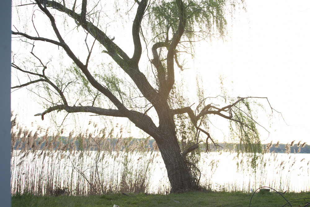 adam-jacono-landscapes-here-and-around-11